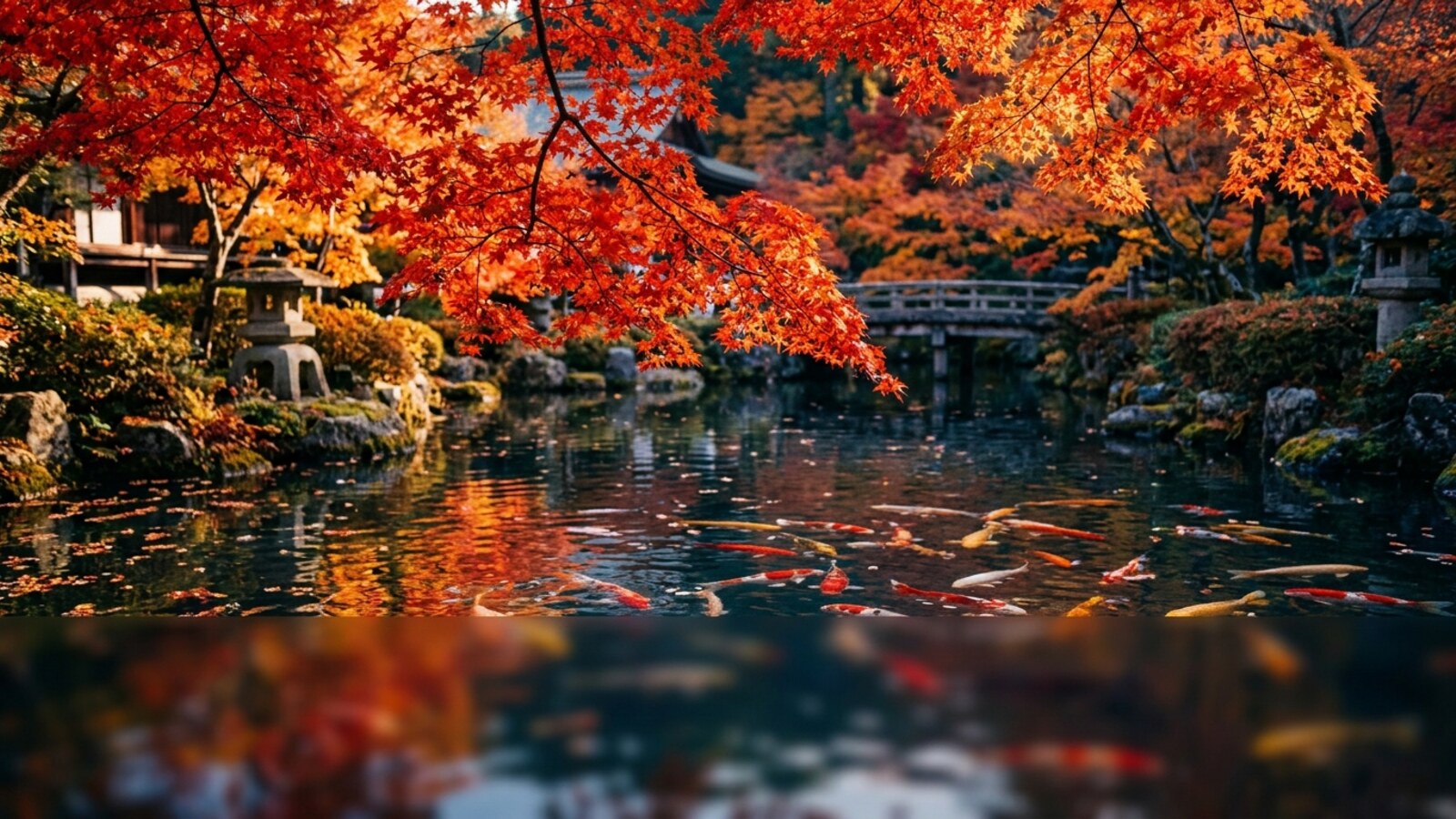 Japanese Colors - Basic Color Vocabulary Flashcards
